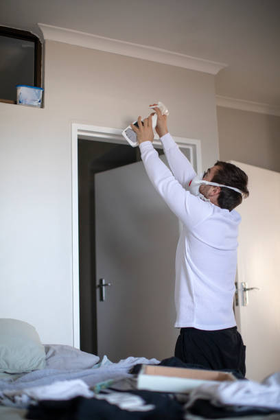 Best Commercial Mold Inspection  in Caoncito, NM