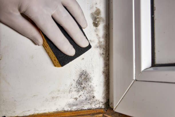 Best Indoor Air Quality Assessment  in Caoncito, NM