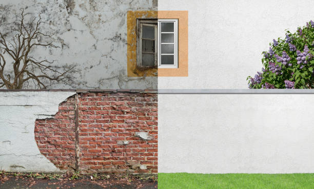 Best Mold Remediation for Rental Properties  in Caoncito, NM
